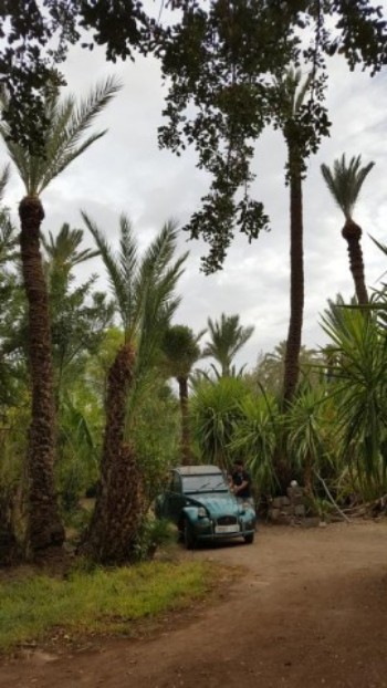 All Green House Marrakech Morocco