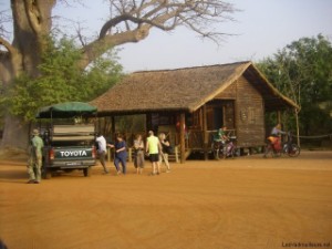 Safari Tour à Bandia Reserve Sénégal 