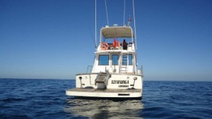 Boat excursion and sea fishing Morocco
