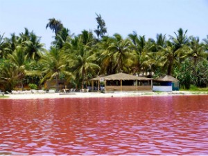 Visite du lac rose Sénégal